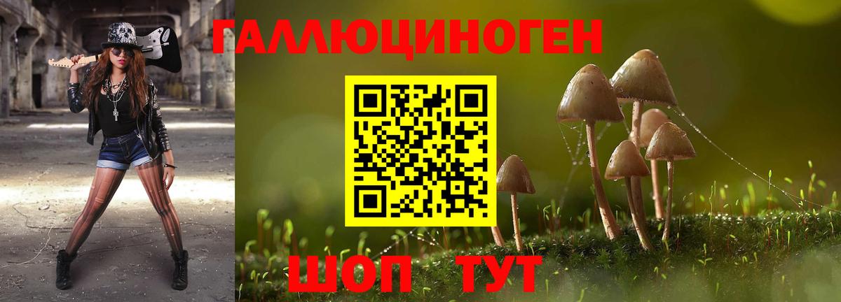 Галлюциногенные грибы GOLDEN TEACHER  магазин    Вход с VPN  Северобайкальск  Псилоцибиновые грибы Psilocybine cubensis 